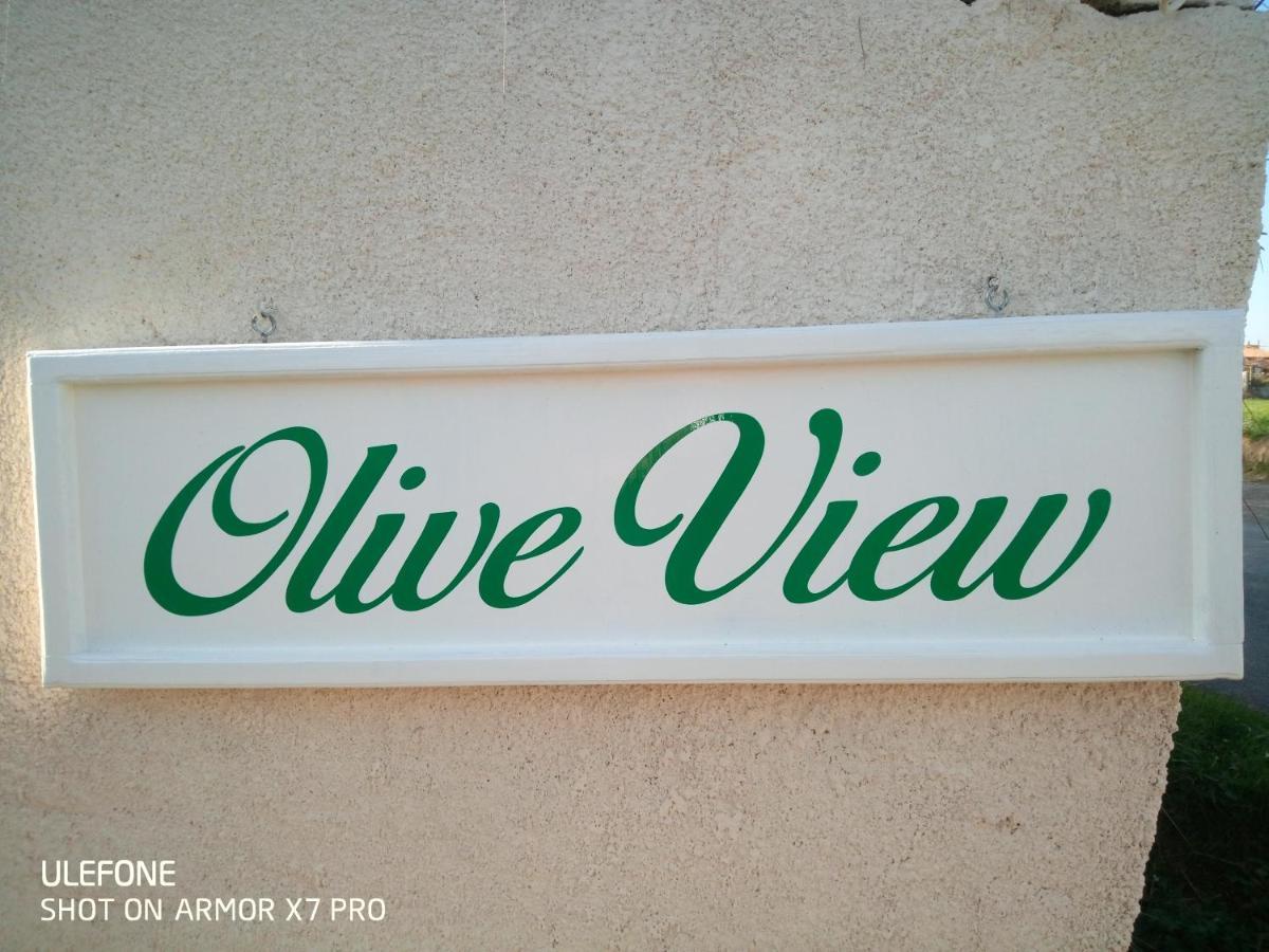 Willa Olive View Puissalicon Zewnętrze zdjęcie
